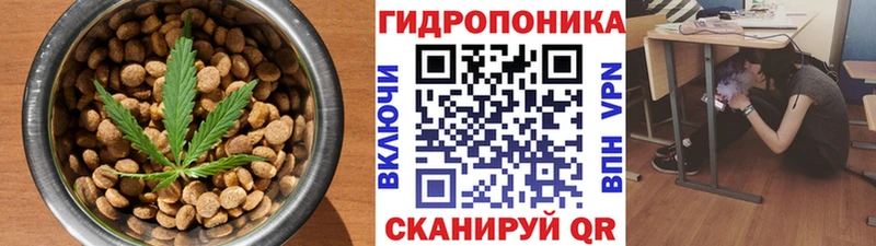 Купить где  Ипатово  Cannafood конопля 