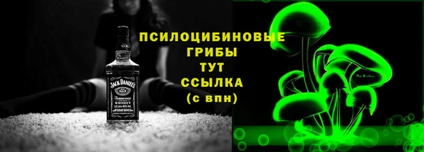гидропоника Зеленодольск