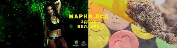 гидропоника Зеленодольск