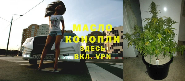 крисы Зерноград