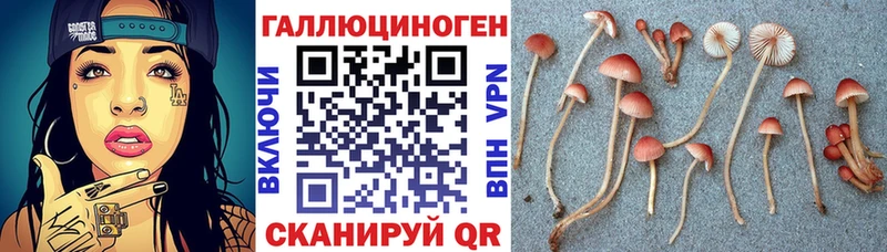 Псилоцибиновые грибы Magic Shrooms  Купить где  Ипатово 